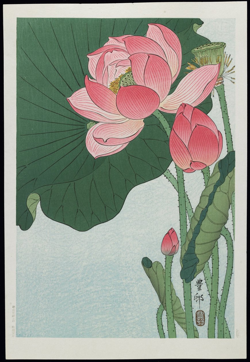 ロータス、1930年代 作： 大原光子