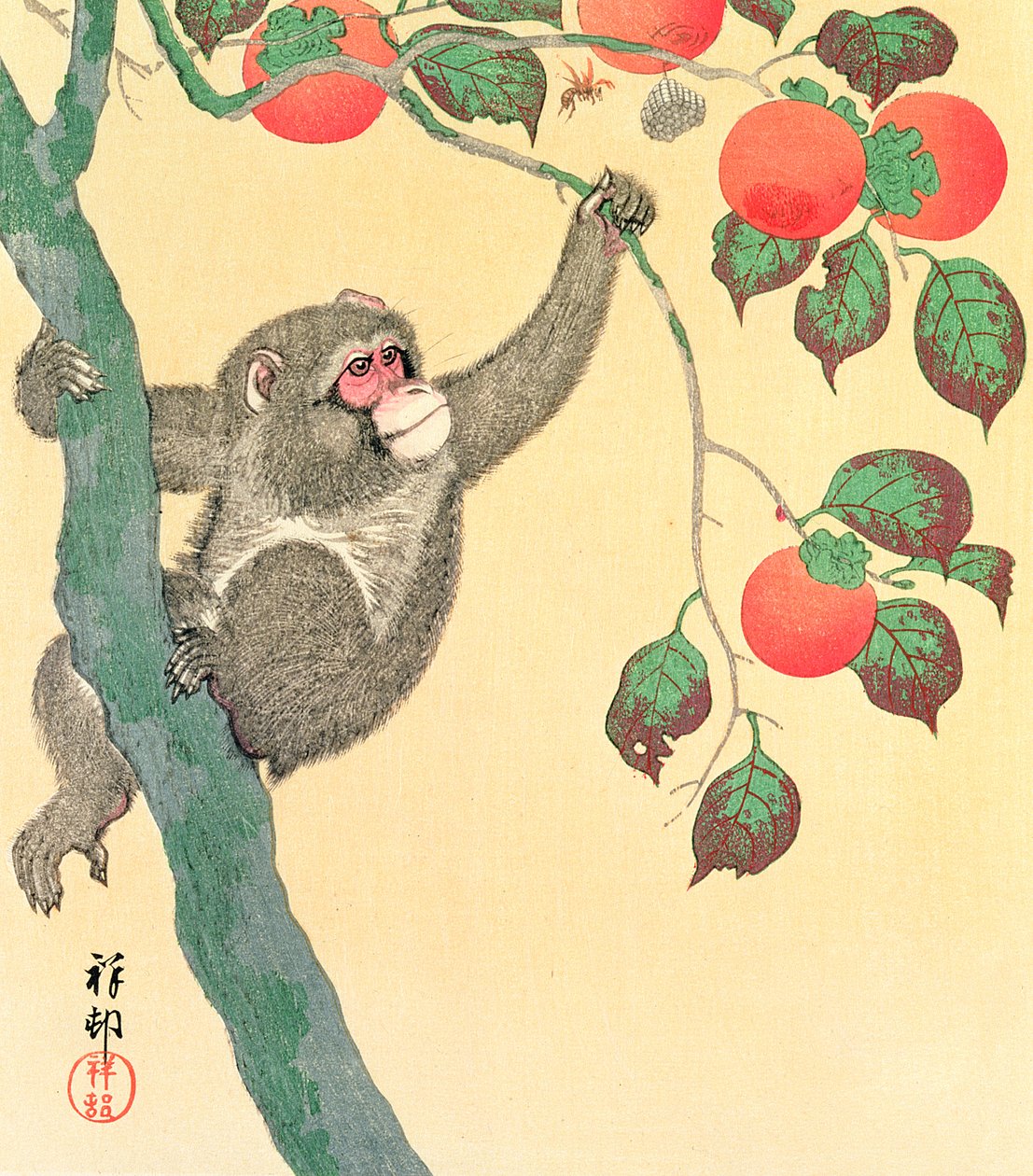 柿の木の猿、1935年（木版カラー印刷） 作： 大原光子