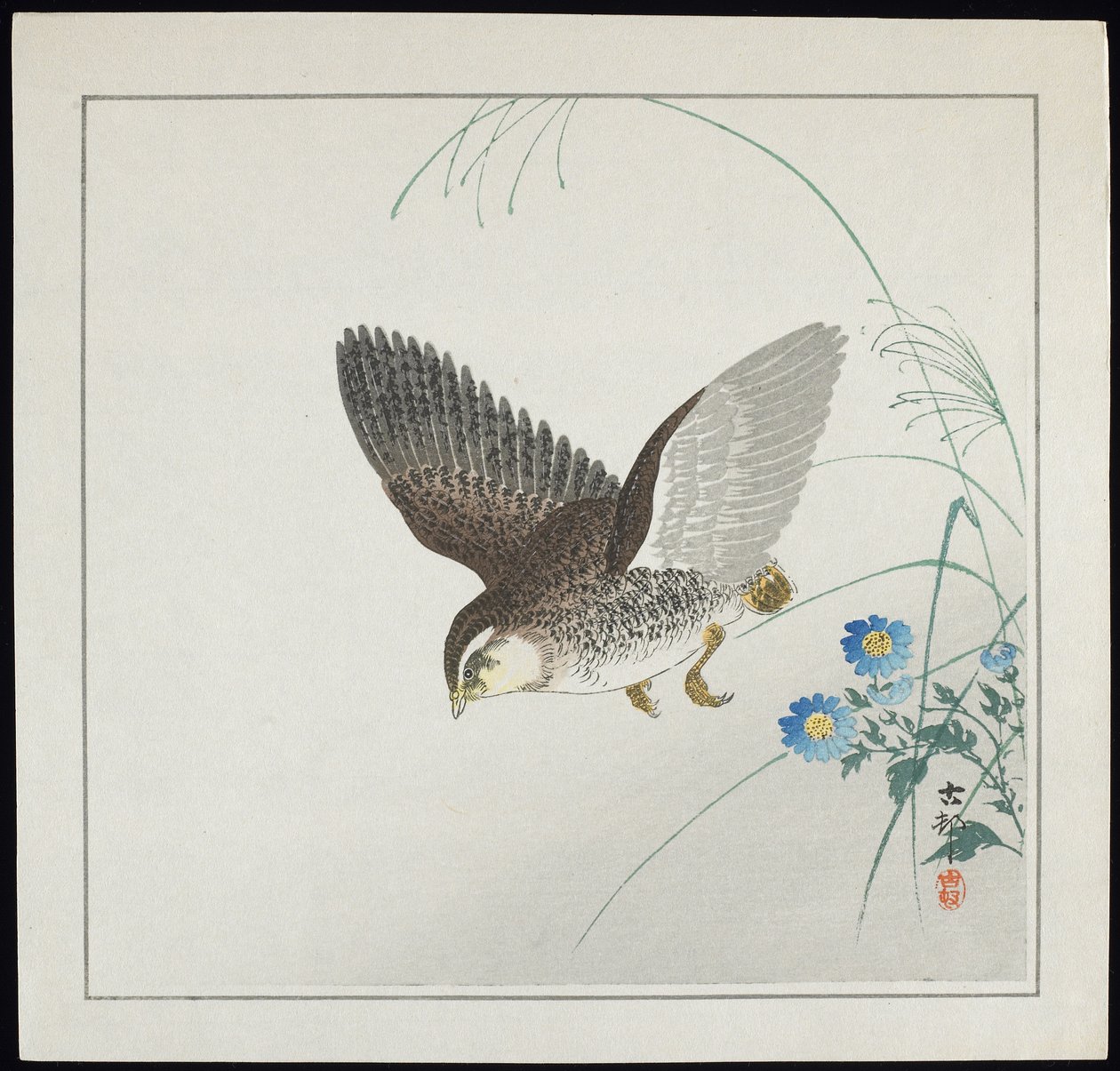 ウズラの飛行、1912年以前 作： 大原光子
