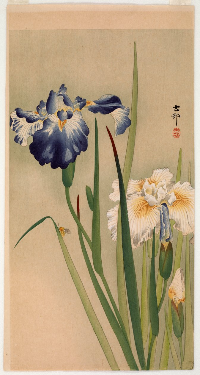 開花アイリスの小さな虫（色木版画） 作： 大原光子