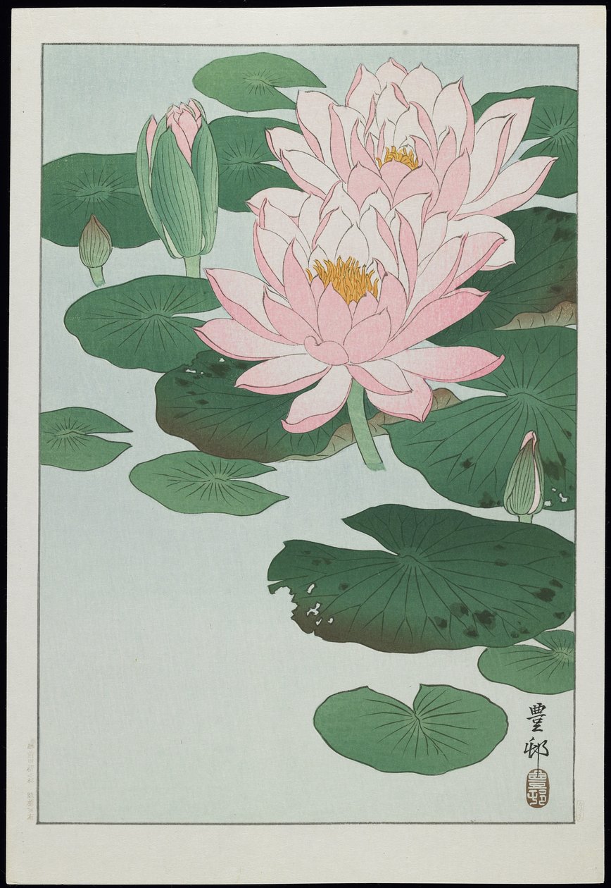 睡蓮、1930年代 作： 大原光子