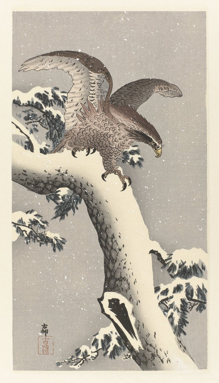 雪に覆われた松の木のワシ 作： 大原光子