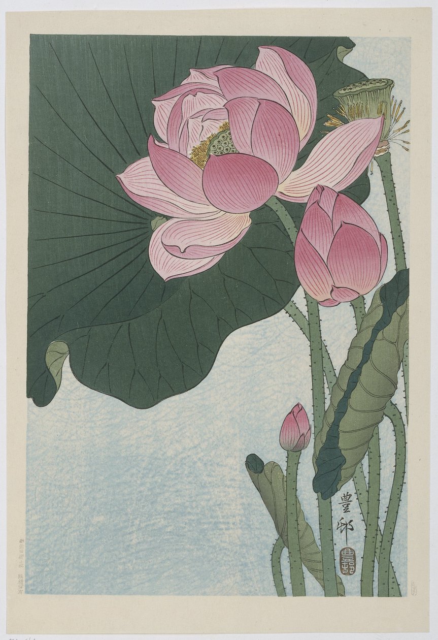 咲く蓮の花 作： 大原光子