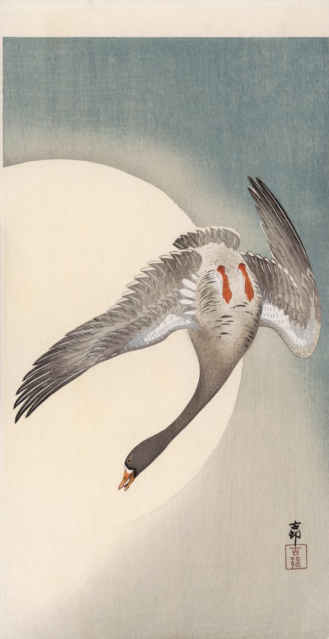 月の前で下から見たハクガン（カラー木版画 作： 大原光子