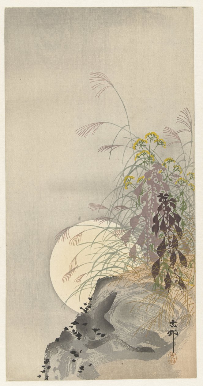 満月の草 作： 大原光子