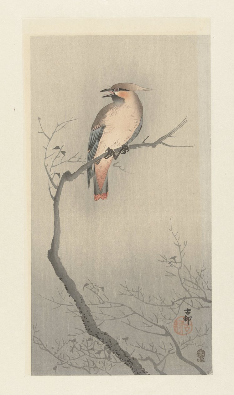 枝にレンジャク鳥 作： 大原光子
