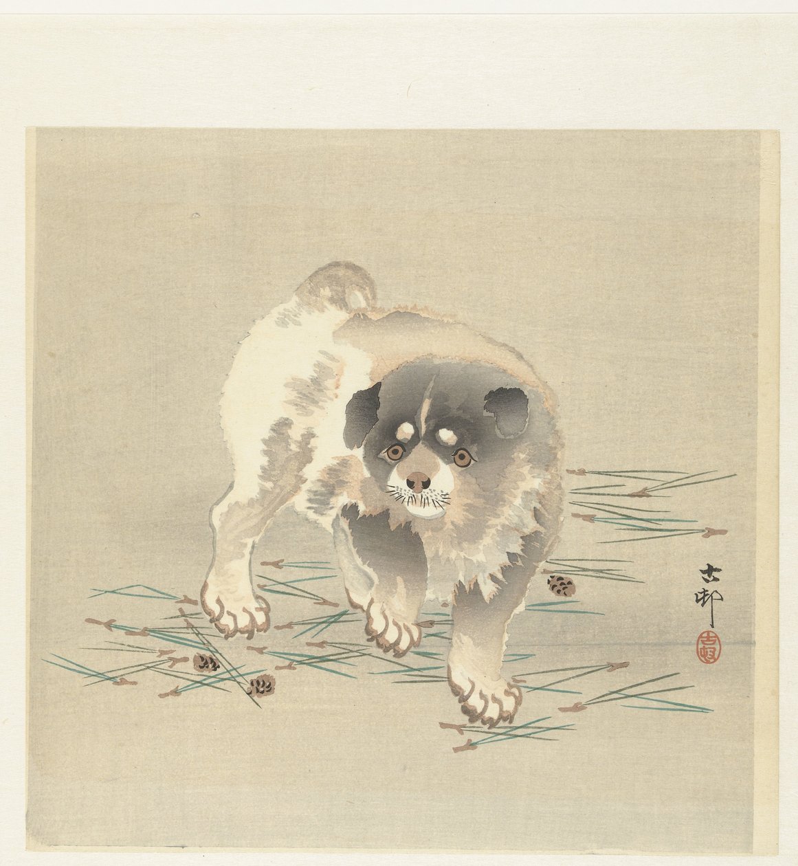 若い犬 作： 大原光子
