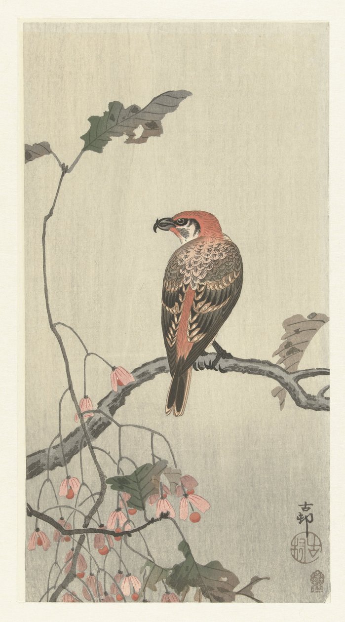 木の枝にハシビロコウ 作： 大原光子