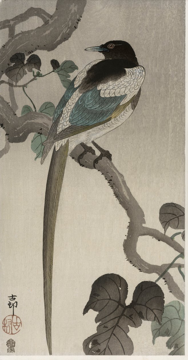 ポーウォルナの枝にとまるカササギ（カラー木版画 作： 大原光子