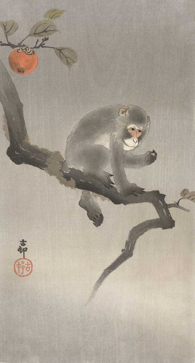 果樹の中の猿、1900-30 | 大原光子