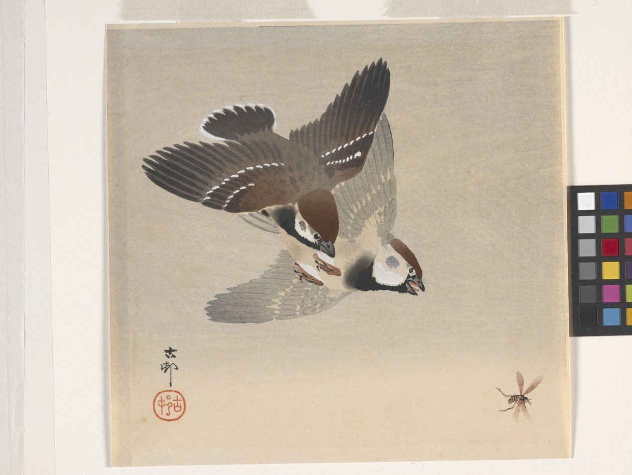 飛んでいる昆虫を追いかけるスズメ（カラー木版画） 作： 大原光子