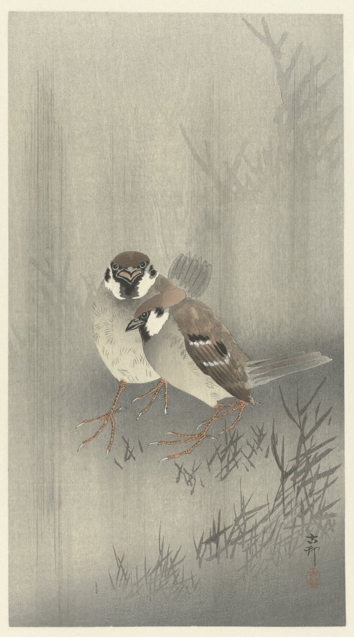 雨の中の 2 つのスズメ 作： 大原光子