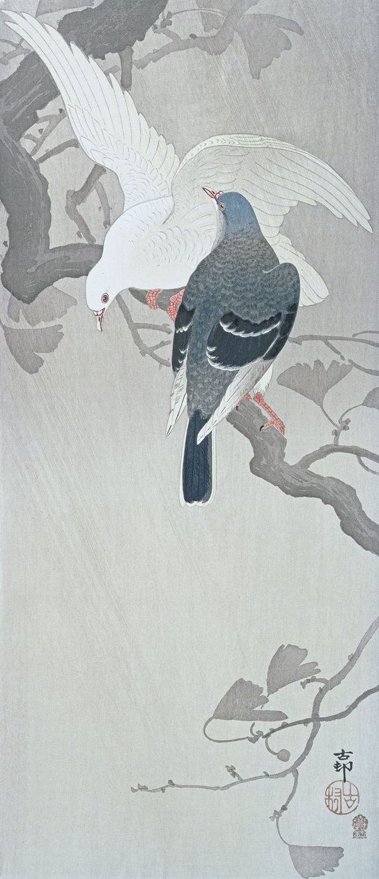 銀杏の枝で雨に打たれる2羽の鳩 作： 大原光子