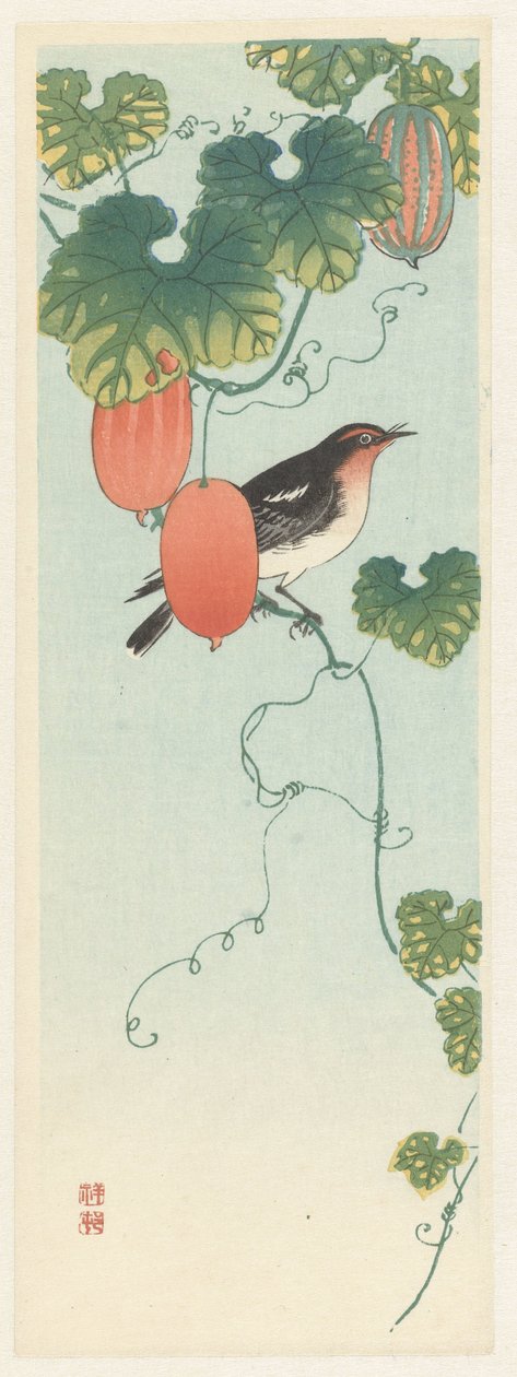 キュウリの鳴き鳥 作： 大原光子