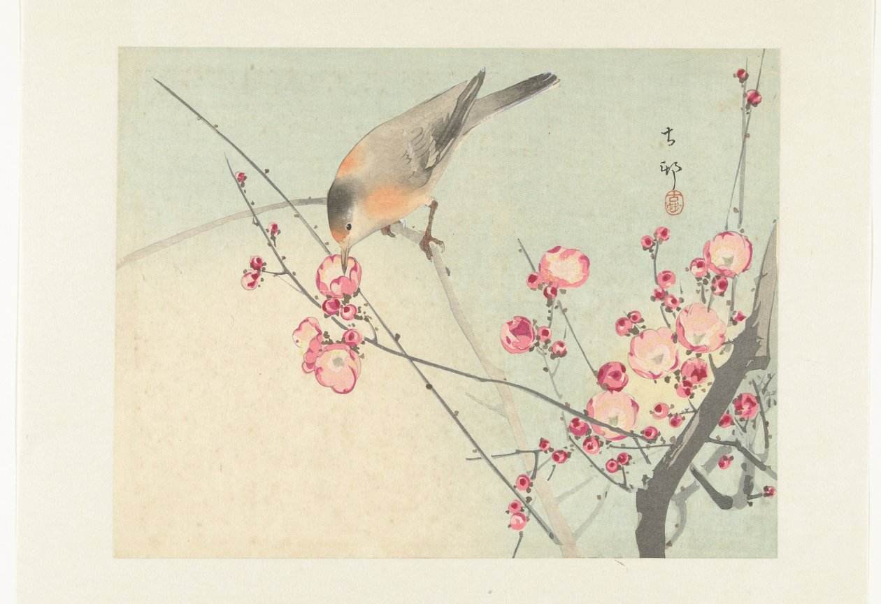 花の枝の鳴き鳥 作： 大原光子