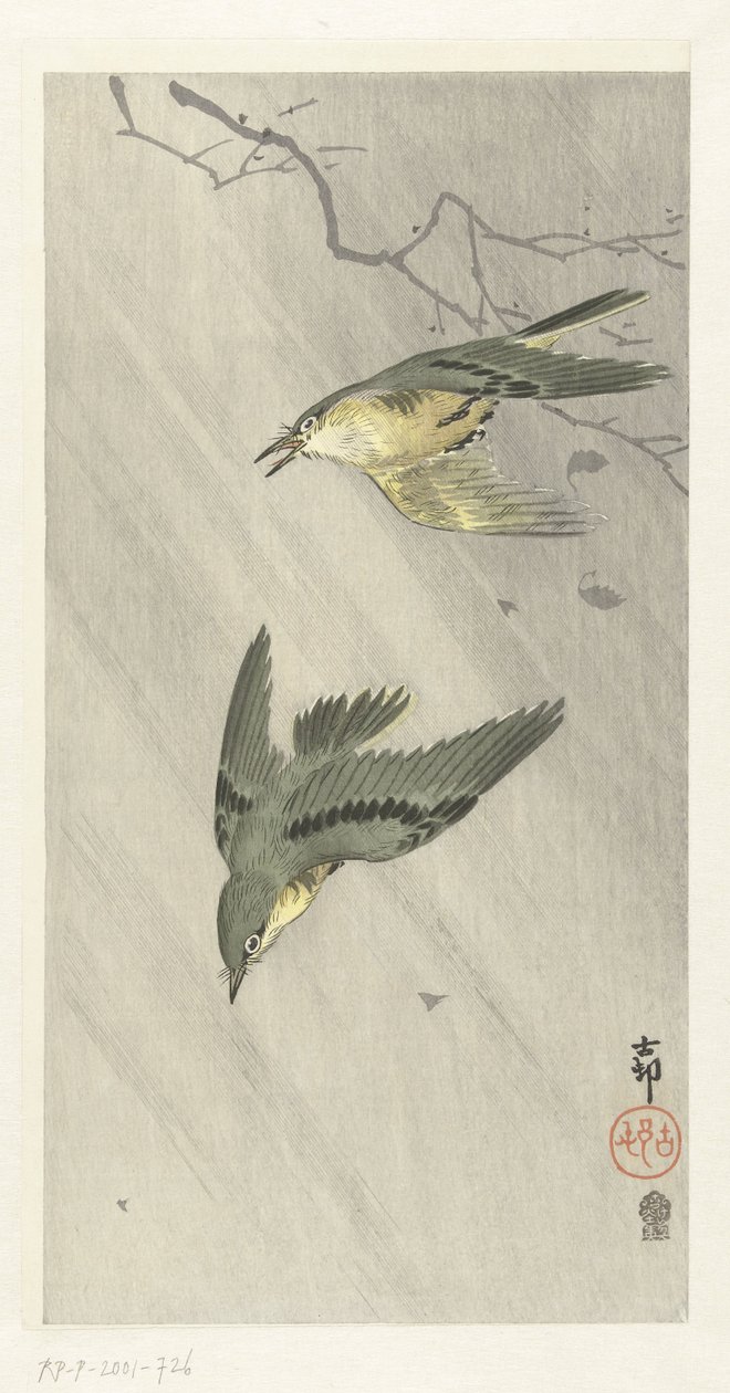 雨の鳴き鳥 作： 大原光子