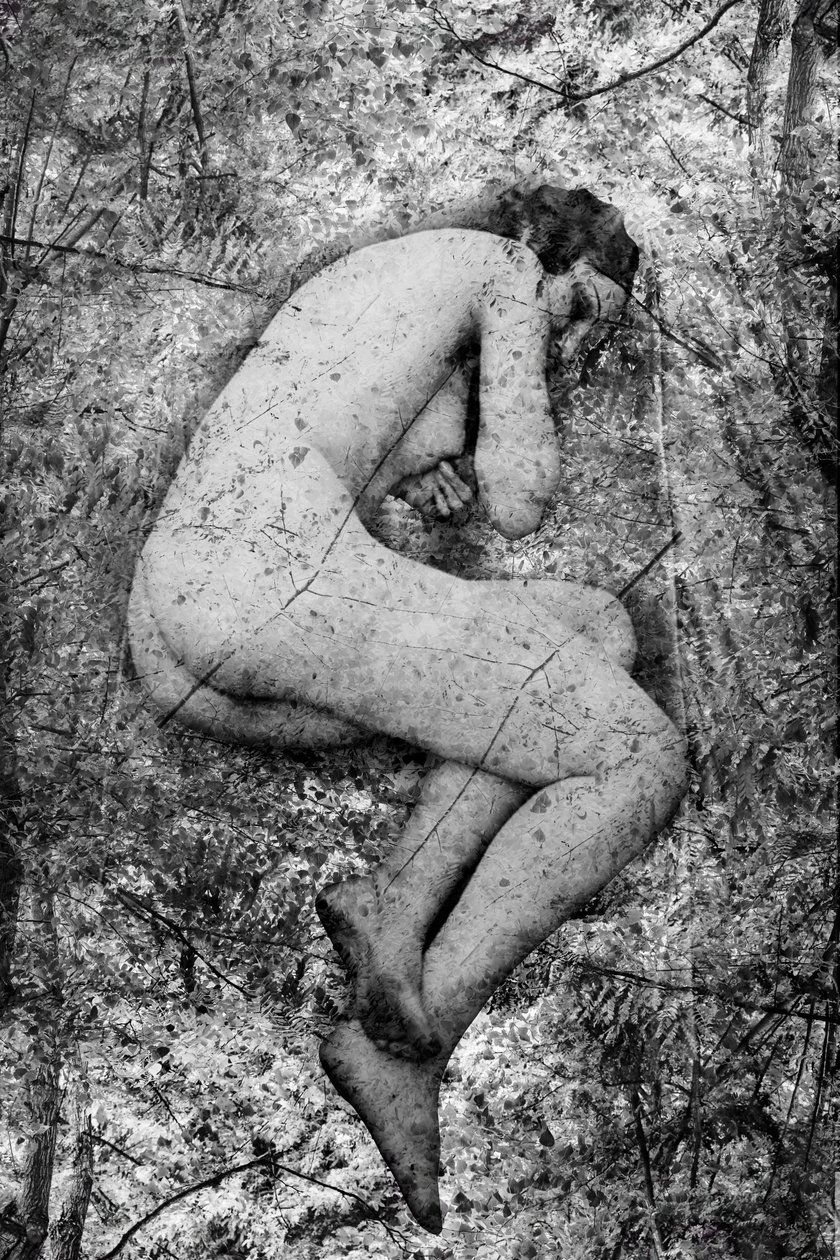 セメ、2024年（デジタル・ミクストメディア） 作： 