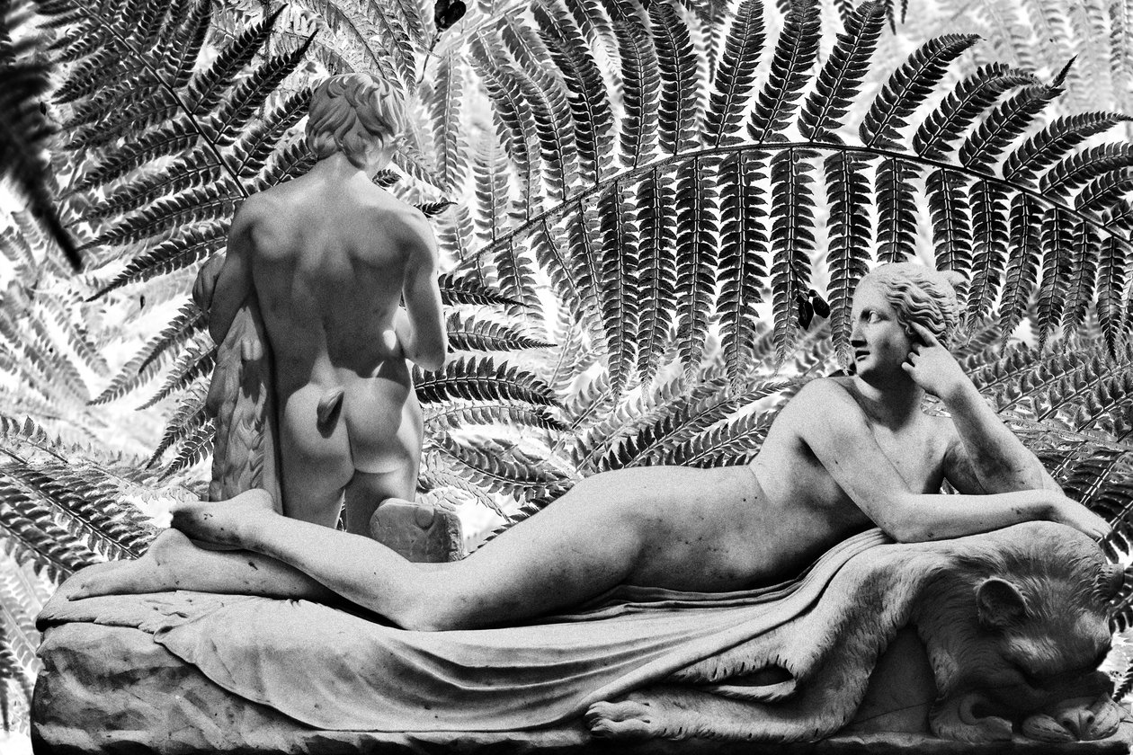 Statue ah 2019（デジタルミクストメディア） 作： 