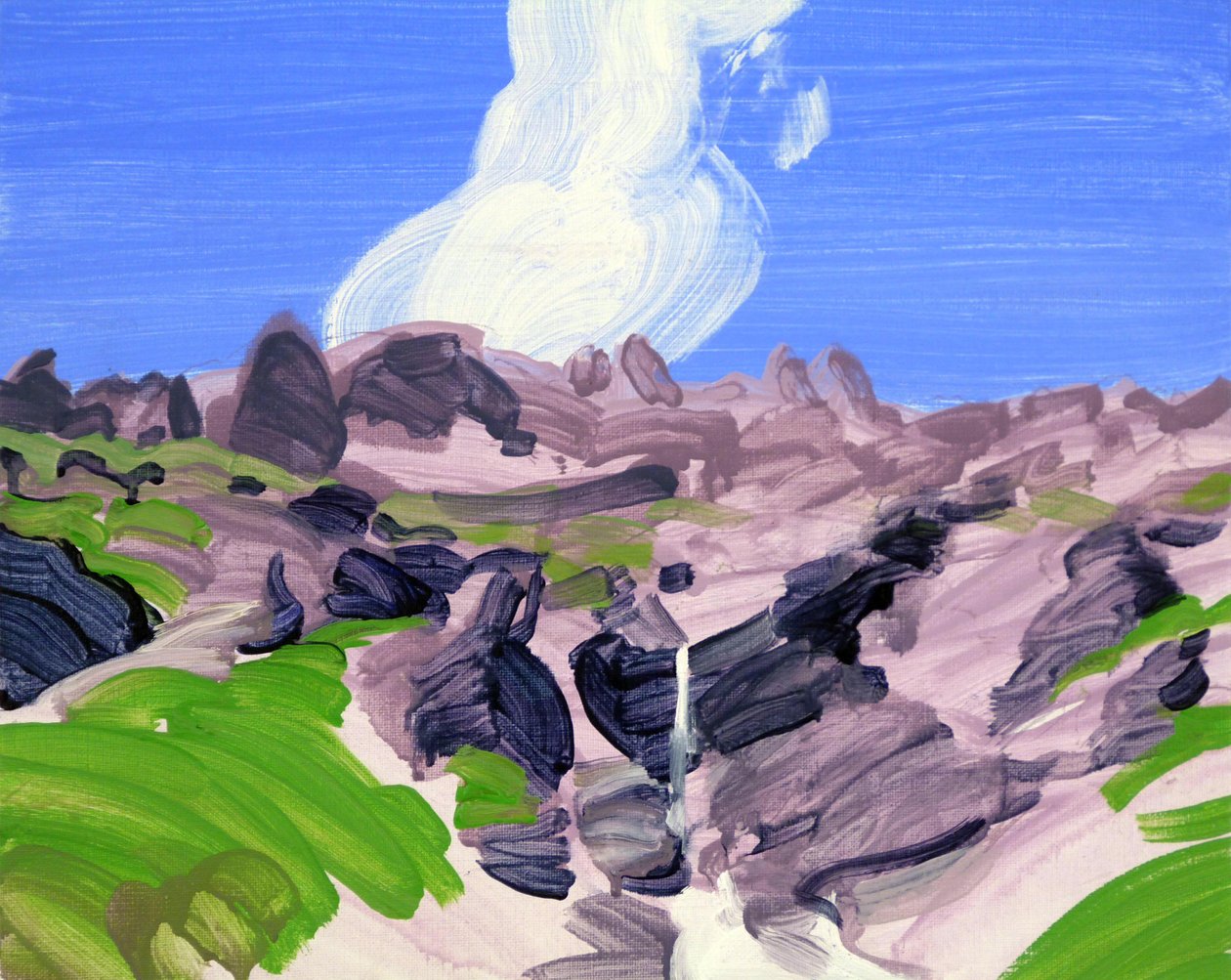 ロイカーバード8番地、2012年（キャンバスにアクリル画） 作： オリヴィエ・モレル