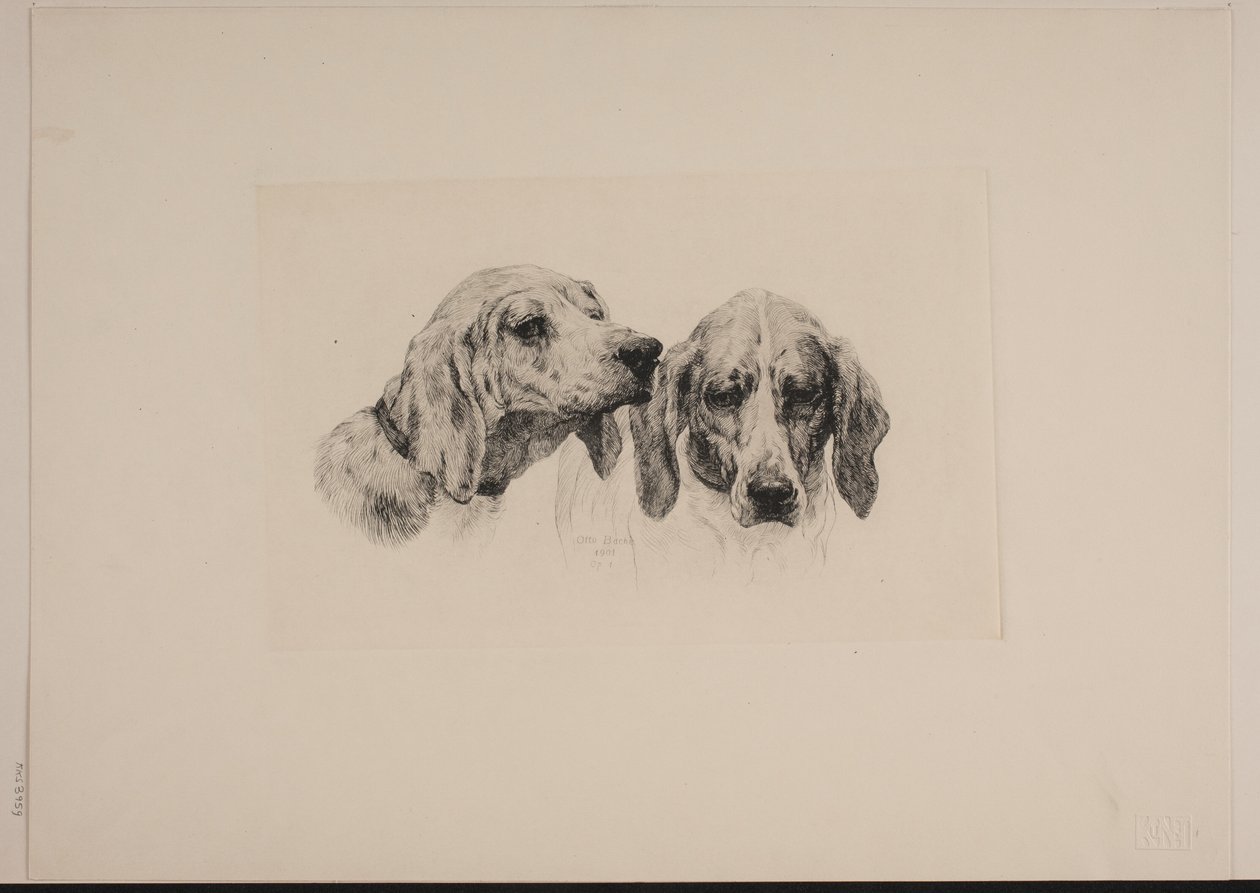 2 つの犬の頭 作： オットー・バッチェ