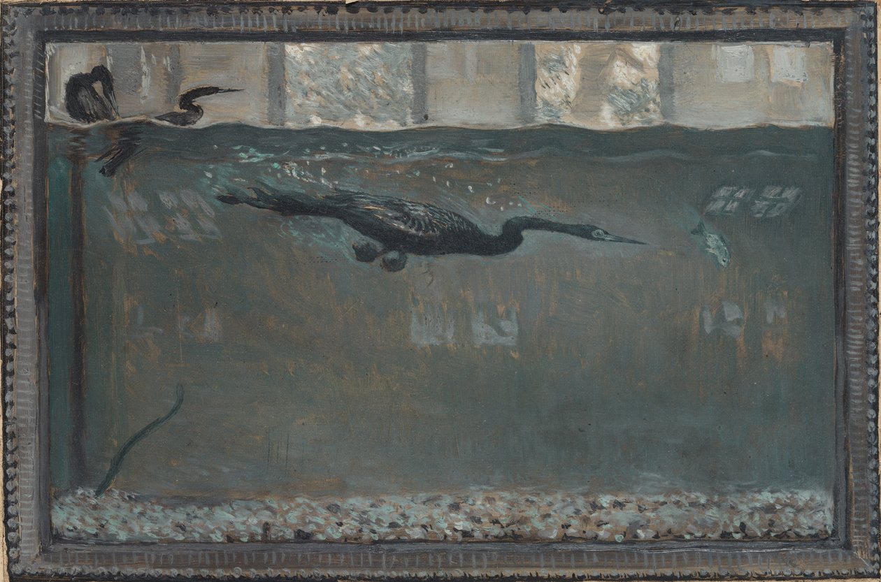 潜水鵜、1900年。 作： Otto H. Bacher