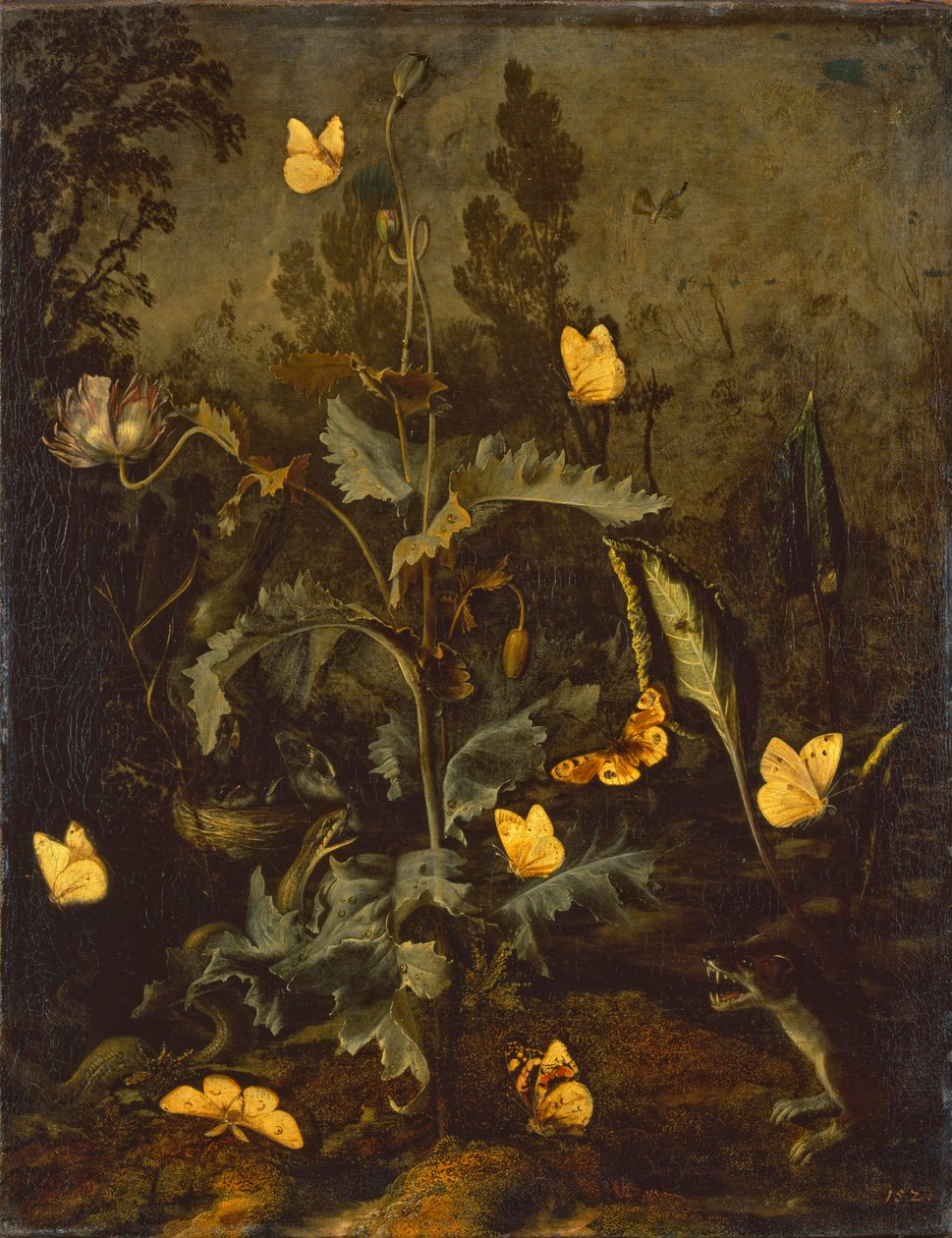 The snake at the bird