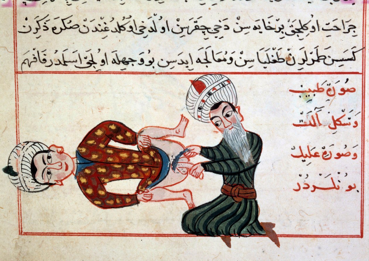 医学：両性具有の脱皮。Sharaf al-dinによるトルコ医学書のミニチュア