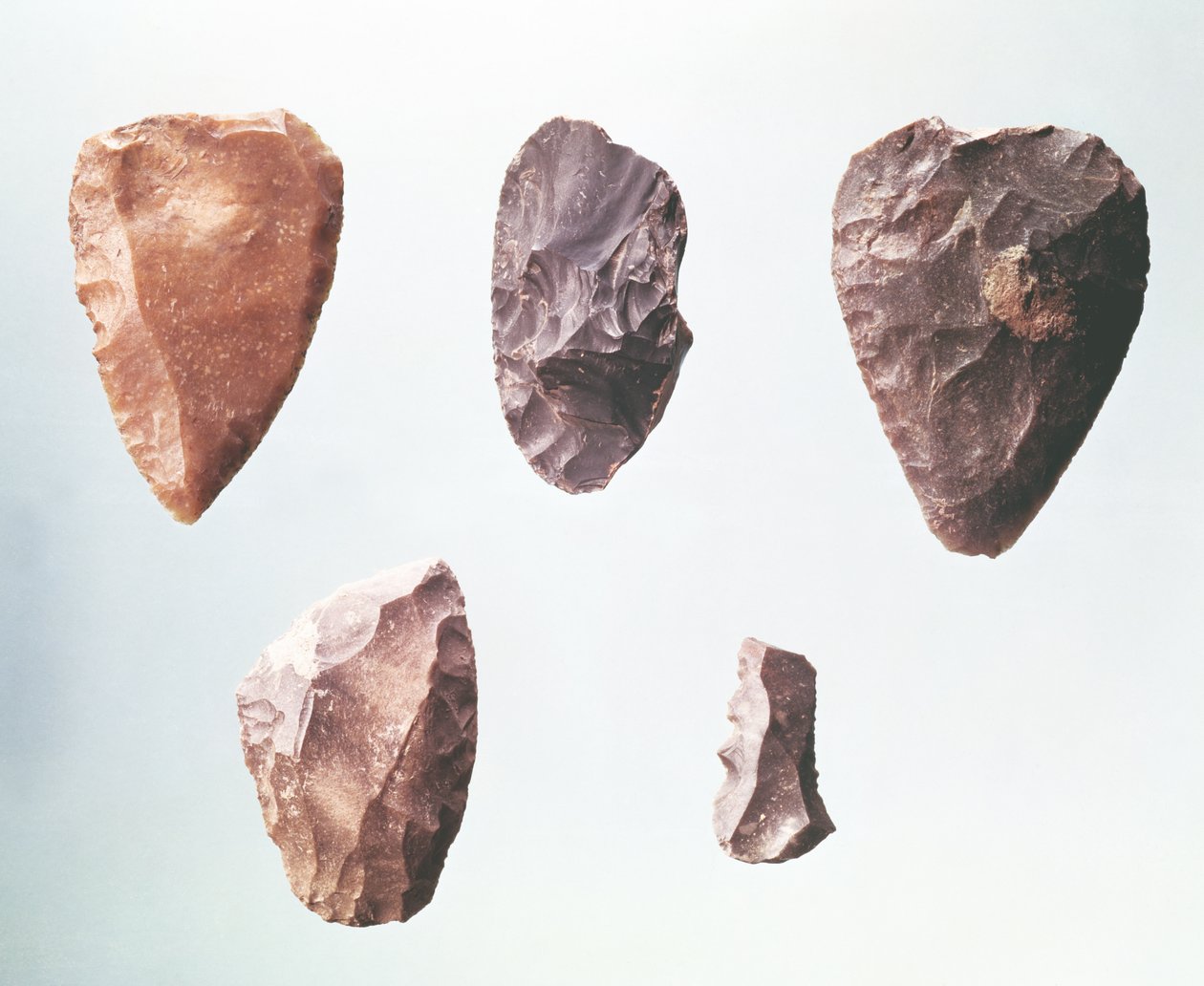 先史時代の石器、プラカード洞窟、紀元前80000〜35000年（フリント） 作： 旧石器時代