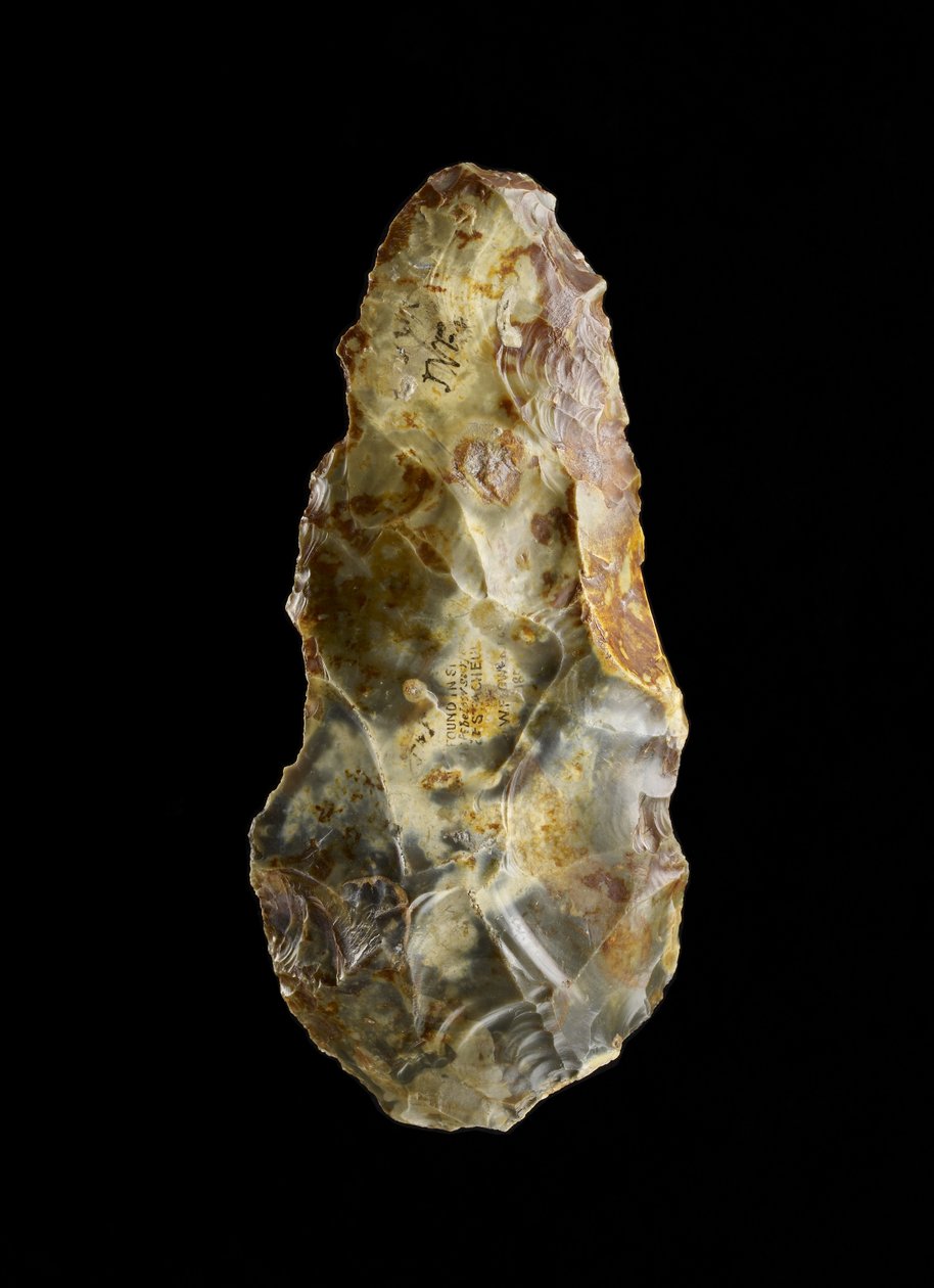 Handaxe（フリント） 作： 旧石器時代