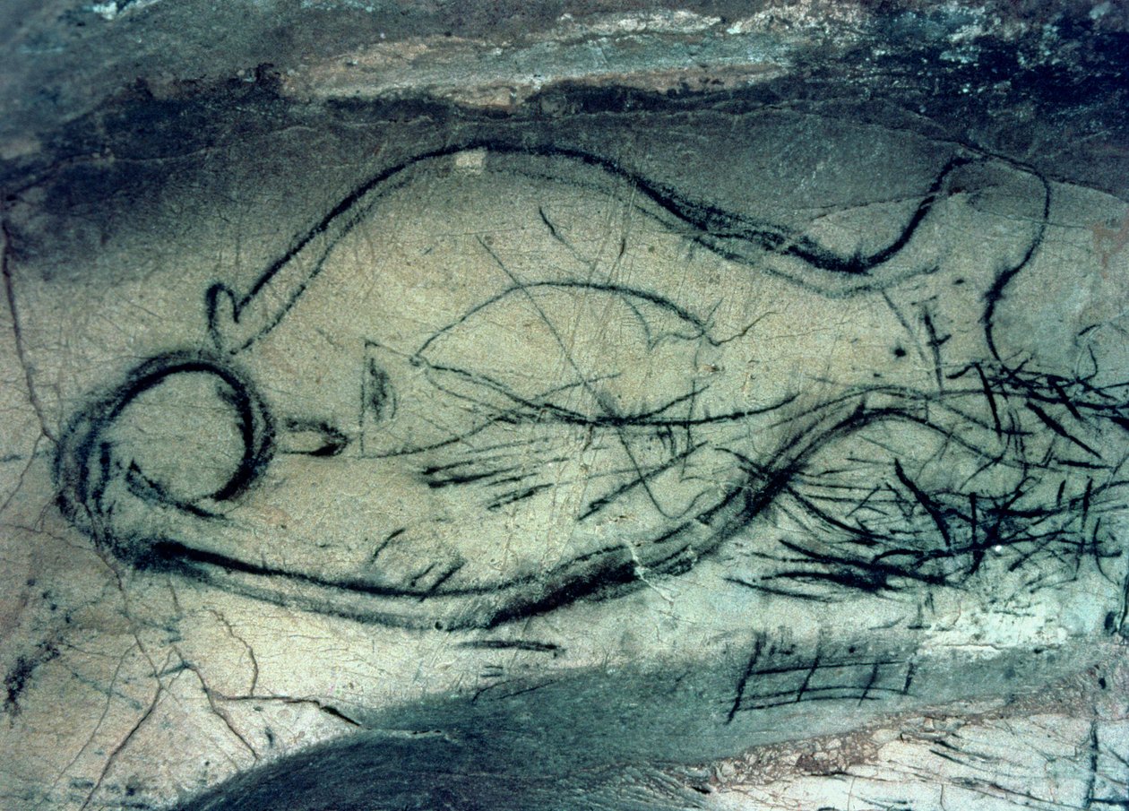 海洋図、旧石器時代 (c.40000-12000 BC) (写真) 作： 旧石器時代旧石器時代