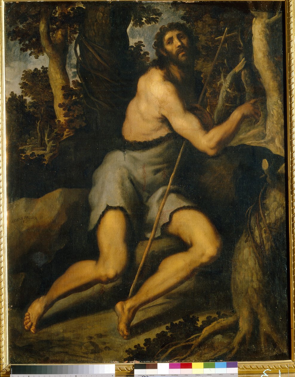 荒野の洗礼者聖ヨハネ。 Jacopo Palma il Giovane, the Younger (1544-1628)、キャンバスに油彩、16 ～ 17 世紀。 イタリア芸術（ヴェネツィア）、マニエリスム。 西洋および東洋美術館、キエフ (ウクライナ)。 作： パルマ イル ジョヴァン