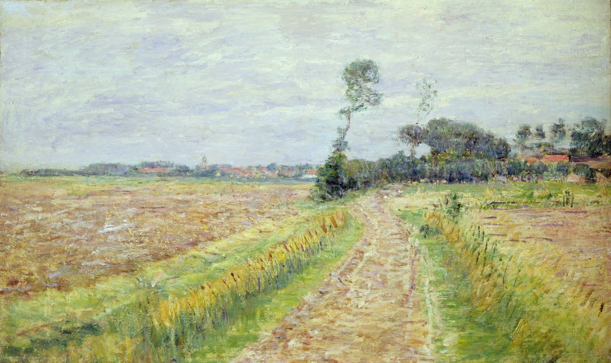 オランダ、収穫された畑のある風景、1890 作： ポールバウム
