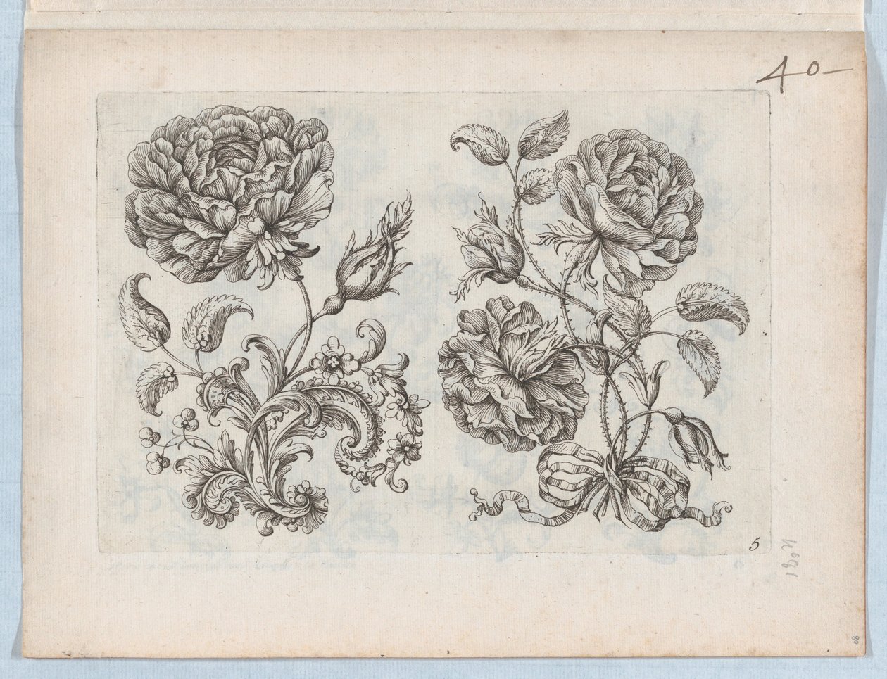 小さな花のモチーフのシリーズ、プレート 5、ca. 1670～85年頃。 1670-85。 作： Paul Androuet Du Cerceau