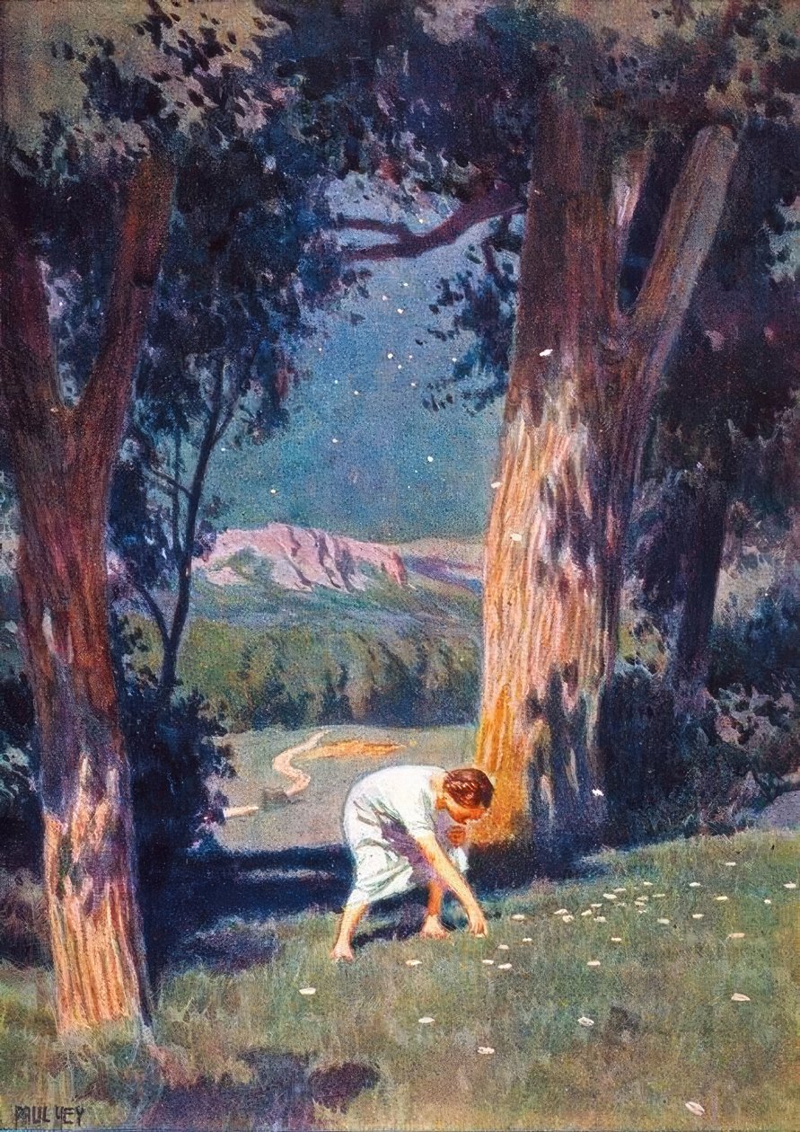 スター・マネー 作： パウル・ヘイ