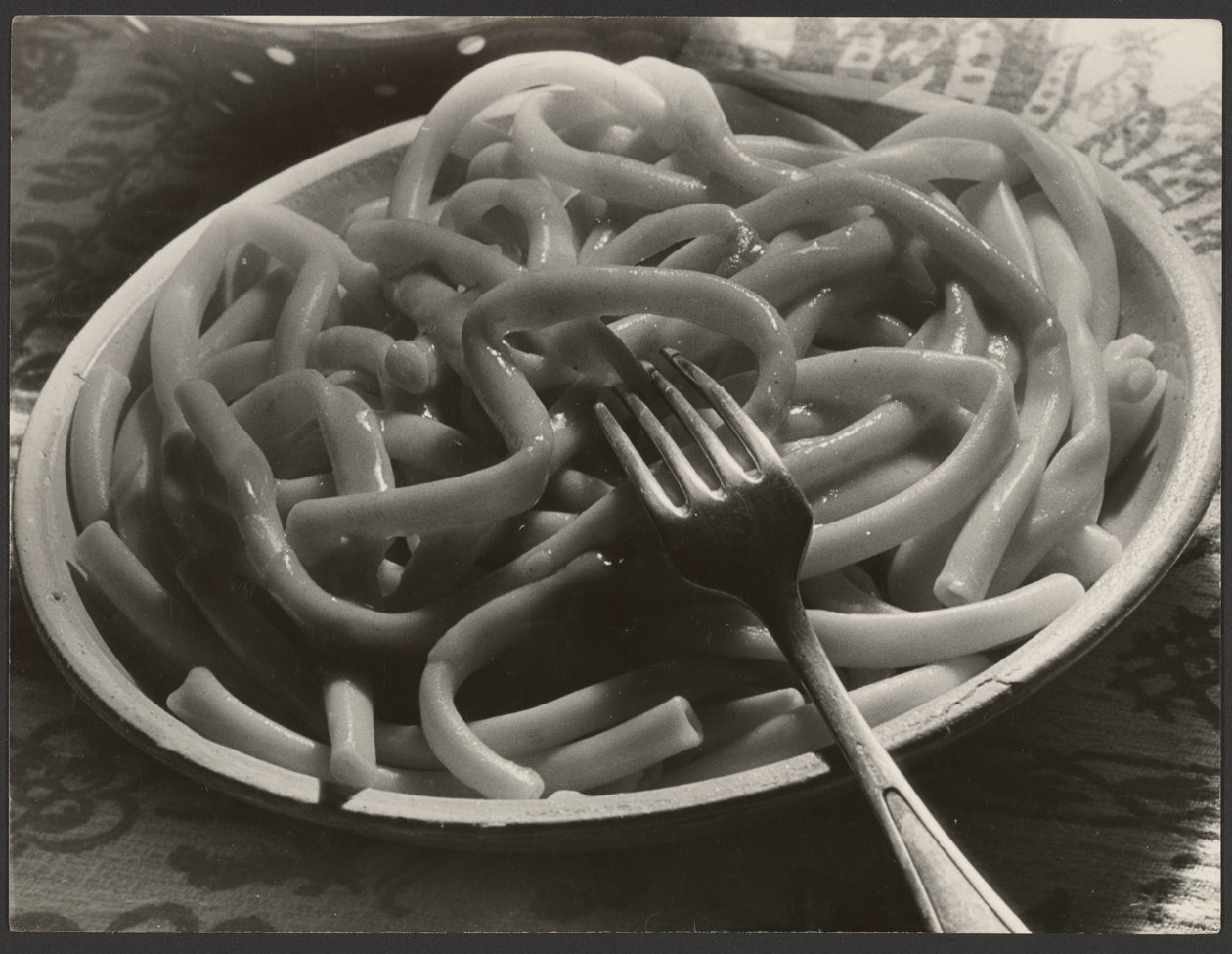 フォーク付き麺皿 作： ポール・ウルフ