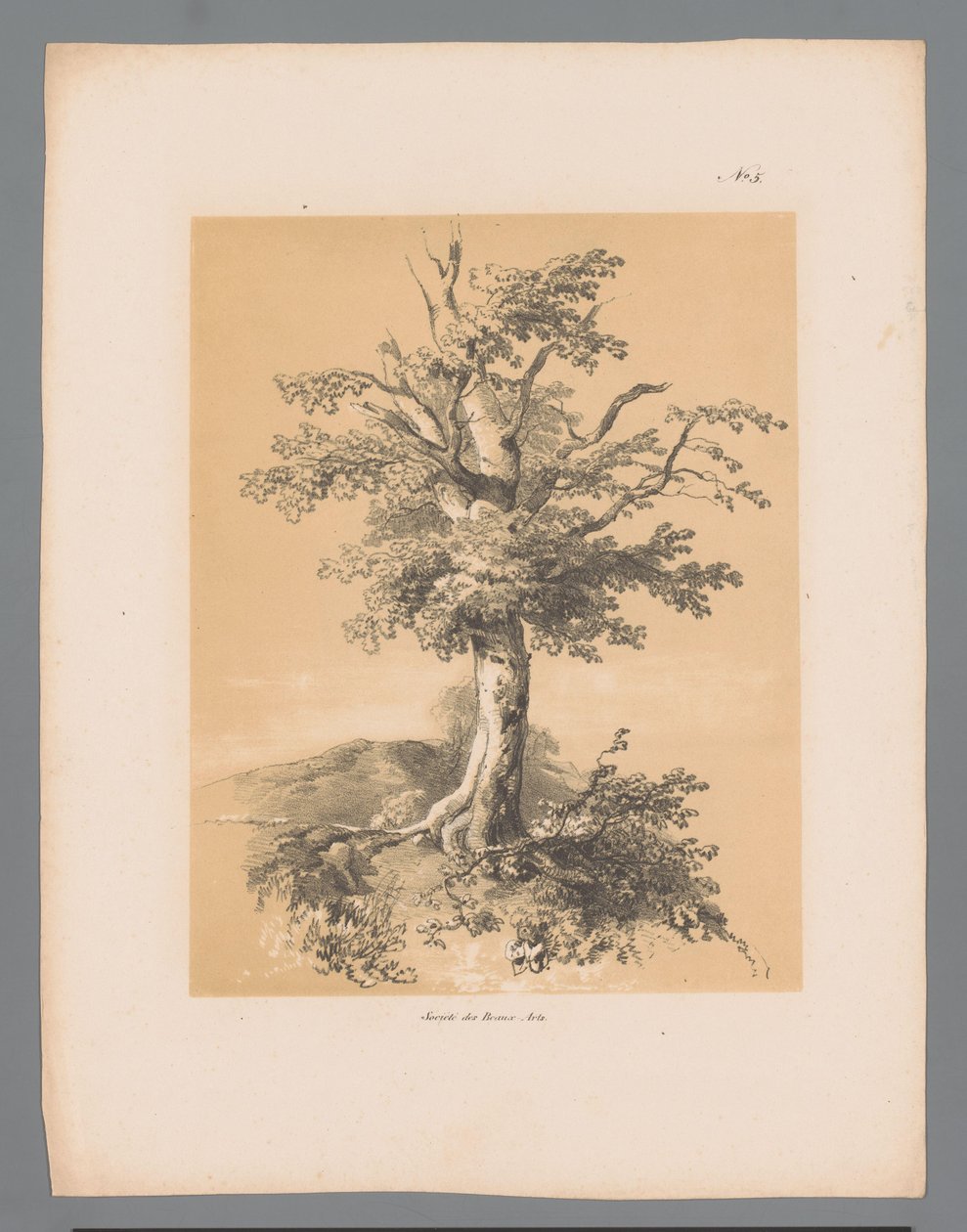 ブーム Paulus Lauters の Picturesque Faces (シリーズ タイトル) Etrennes pittoresques pour 1839、Lauters作（シリーズタイトル） 作： パウルス・ラウターズ
