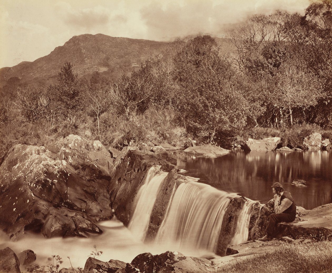 滝、ウィックロー州、1870年頃。1870年（写真） 作： ペイン・ジェニングス
