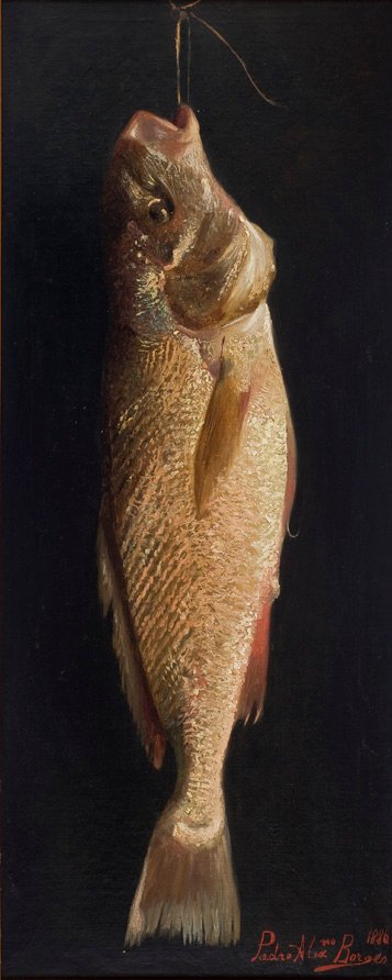 FishnPortugues：魚 作： ペドロアレクサンドリーノボルヘス