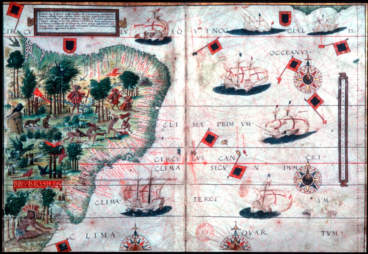 ポルトガルの航海士ペドロ・レイネルとロポ・ホーメンによるブラジルの地図、c1525。 作： ペドロ・レイネル