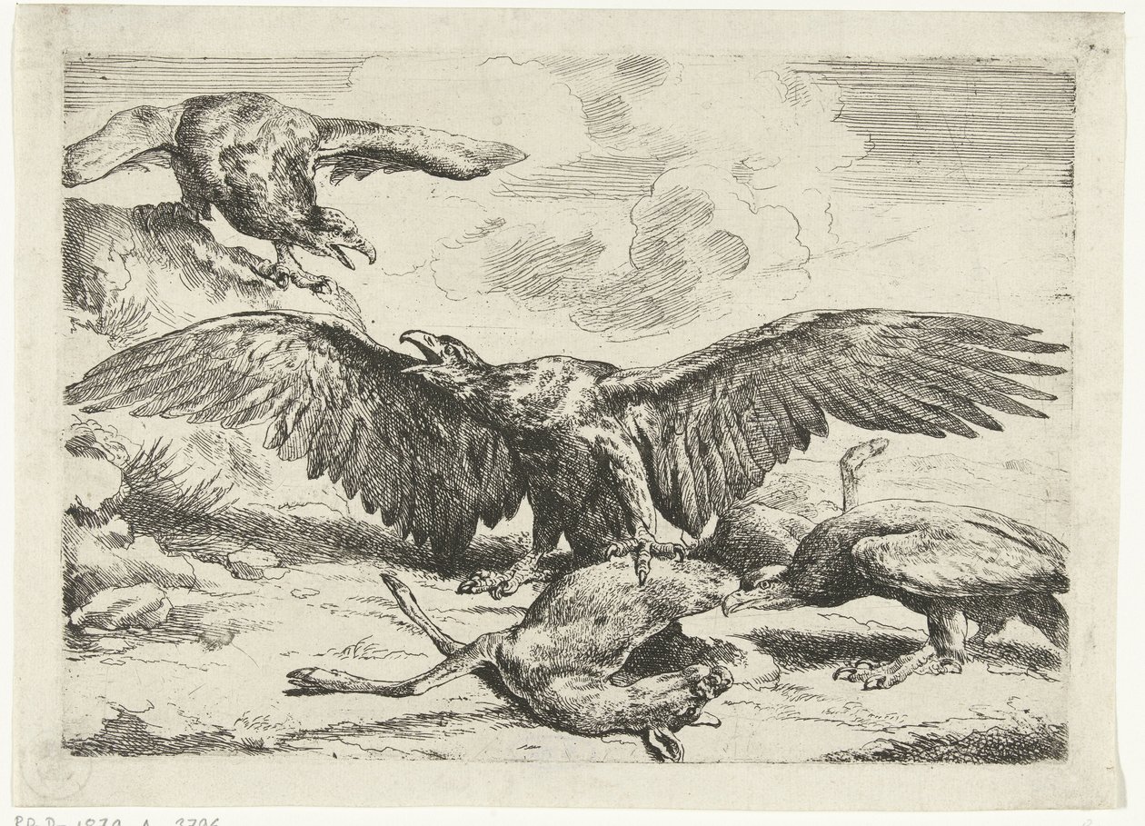 死んだ鹿をめぐって争う 3 羽のワシ Diversi uccelli (シリーズタイトル) 作： ピーター・ボエル