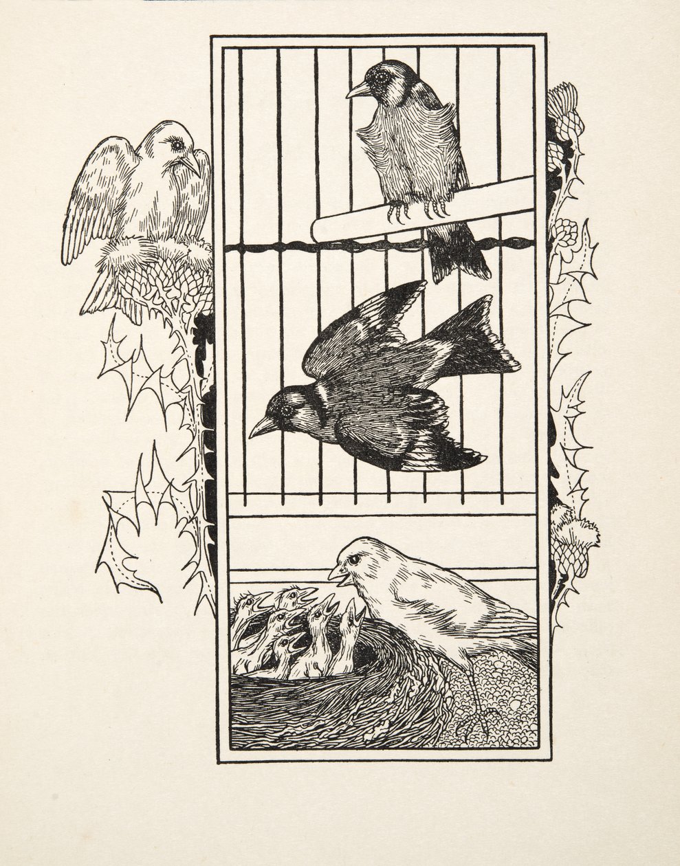 動物の百の逸話、パブからの慈善カナリア。 1924 作： パーシー・J・ビリングスハースト
