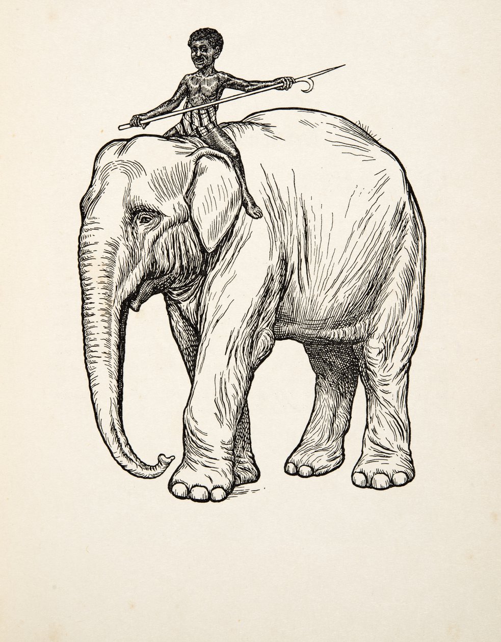 動物の百話、パブからの反省。 1924 作： パーシー・J・ビリングスハースト
