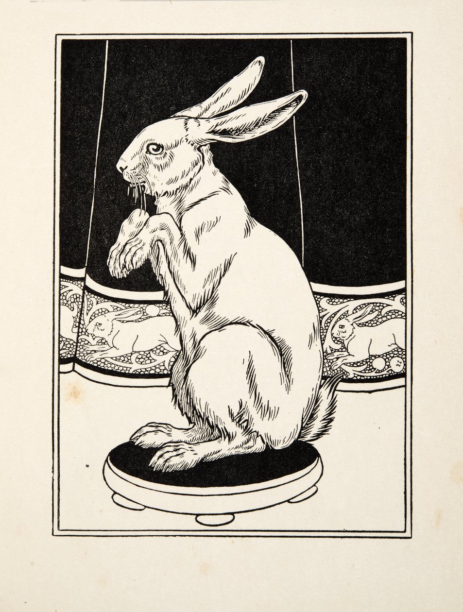 動物の百の逸話、パブから飼いならされたウサギ。 1924 作： パーシー・J・ビリングスハースト