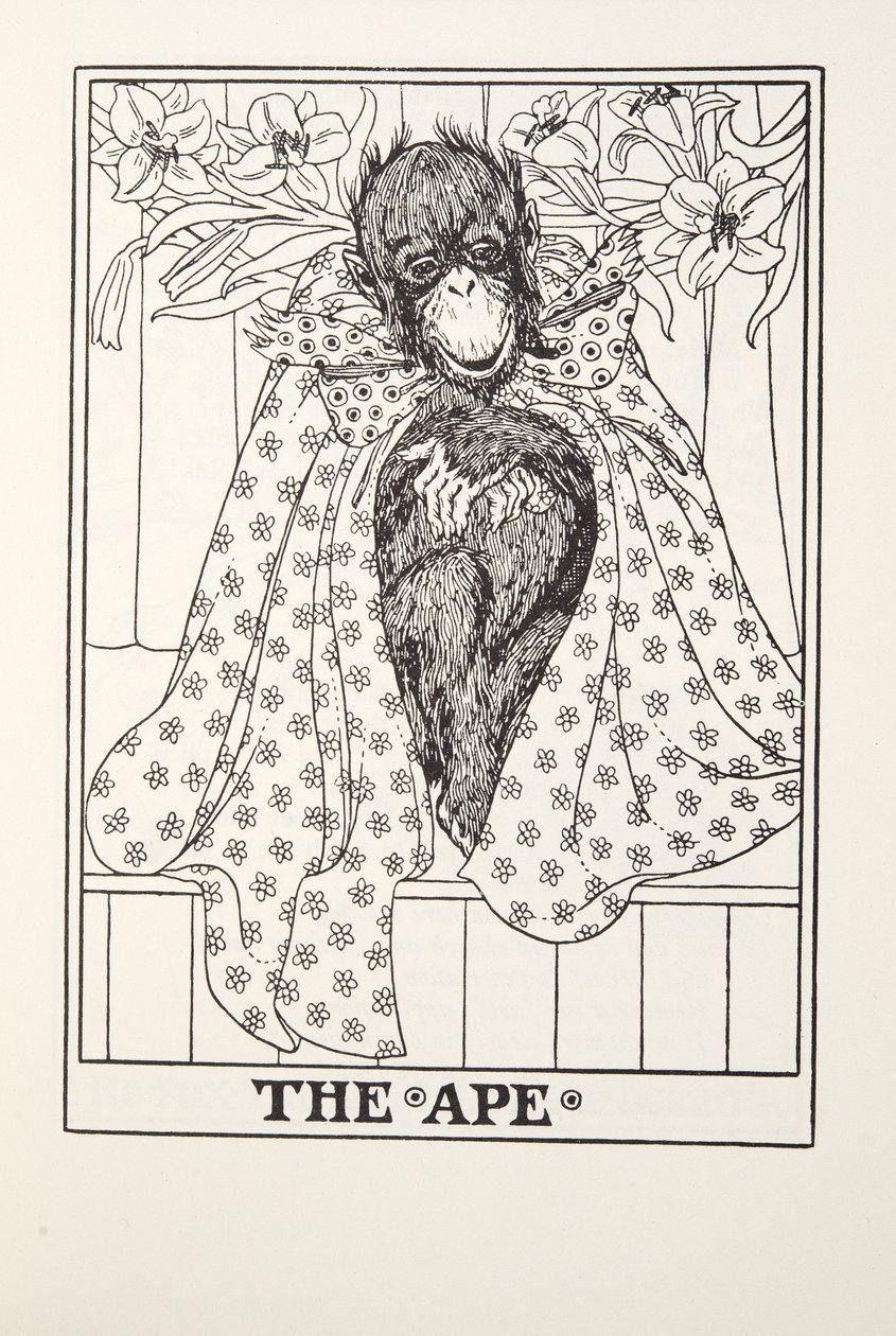The Ape、Fontaine Fables、パブ。 1905 作： パーシー・J・ビリングスハースト