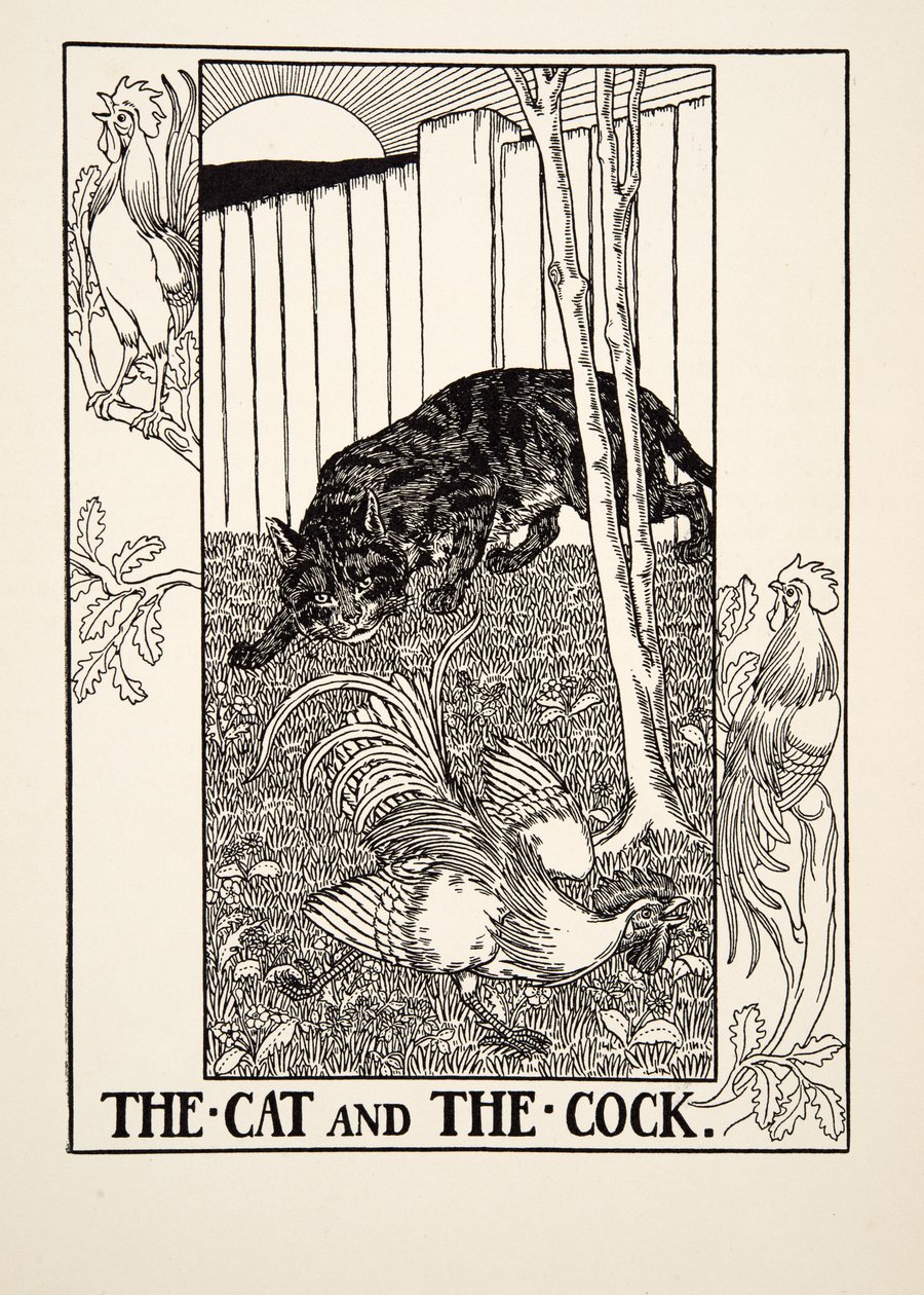 猫と雄鶏、イソップの百寓話、pub.1903 作： パーシー・J・ビリングスハースト