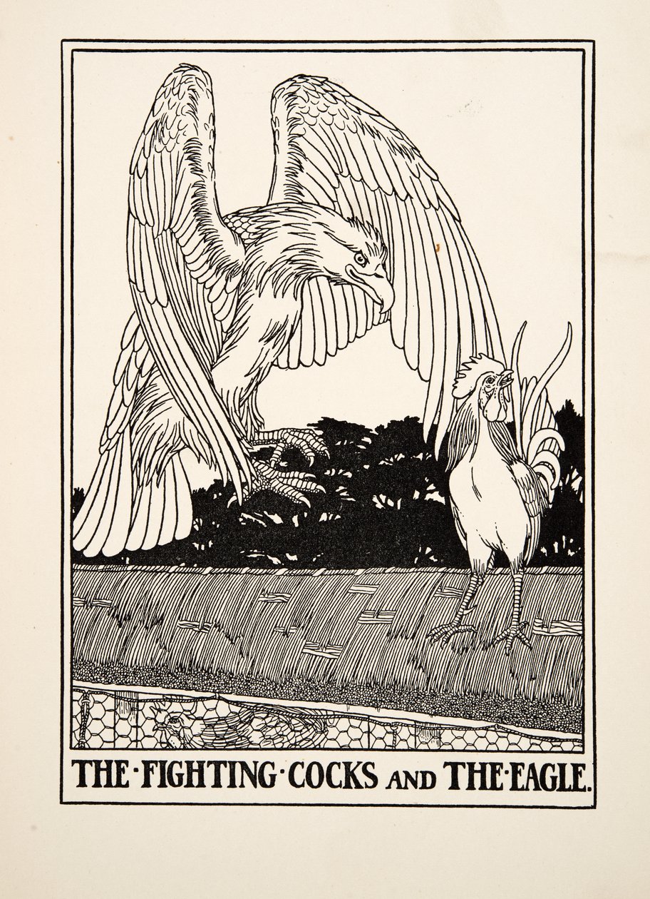 The A Fighting Cocks and the Eagle、from A Hundred Fables of Aesop、pub.1903 作： パーシー・J・ビリングスハースト
