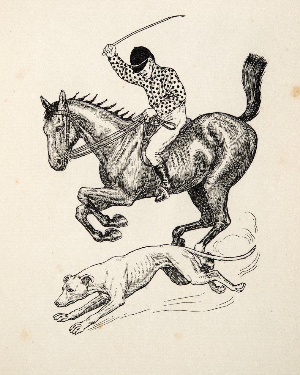 百匹の動物の逸話、パブからの馬とグレイハウンド。 1924 作： パーシー・J・ビリングスハースト