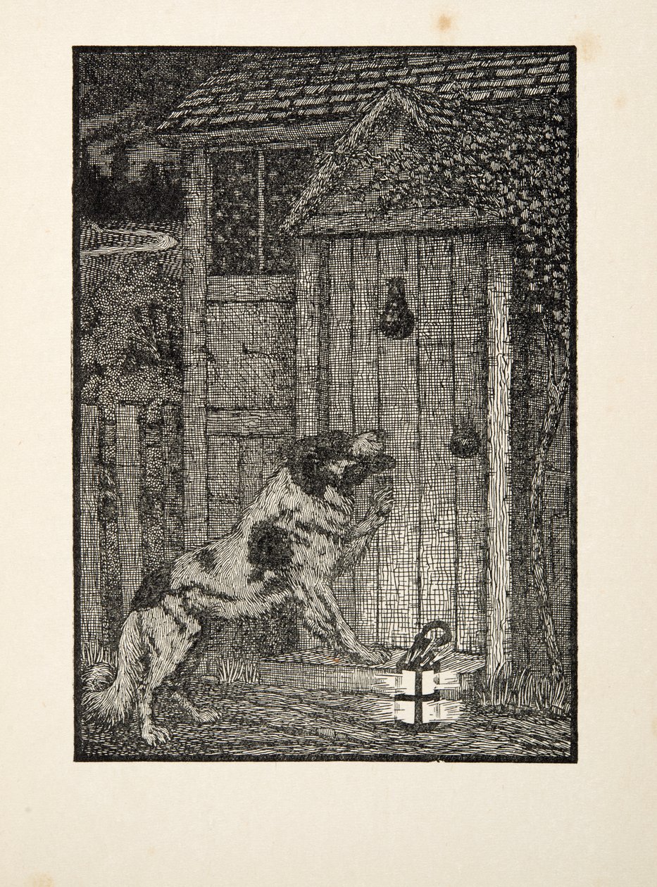 ニューファンドランド犬、動物の百逸話、パブから。 1924 作： パーシー・J・ビリングスハースト