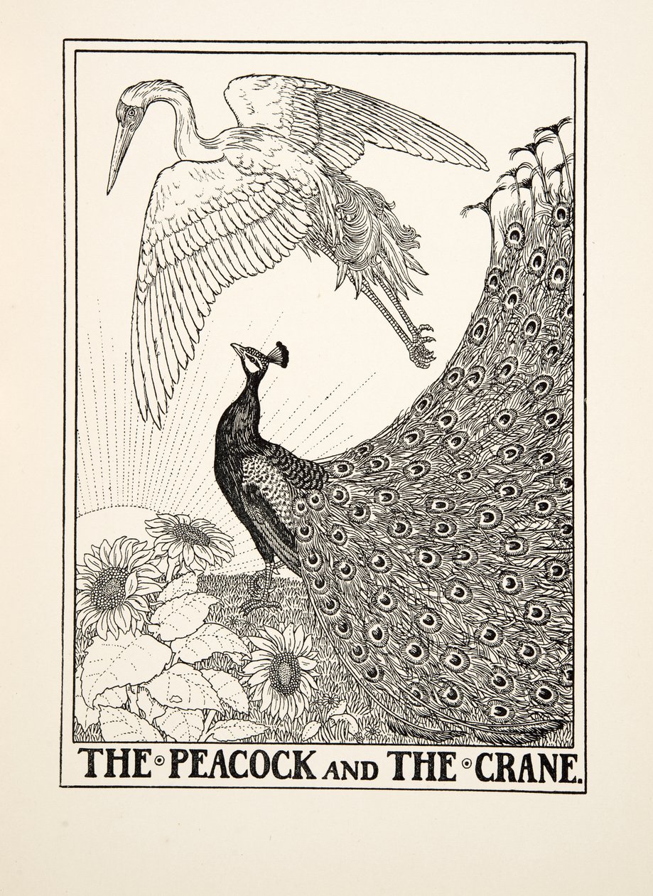 ピーコックとツル、イソップの百寓話、pub.1903から 作： パーシー・J・ビリングスハースト