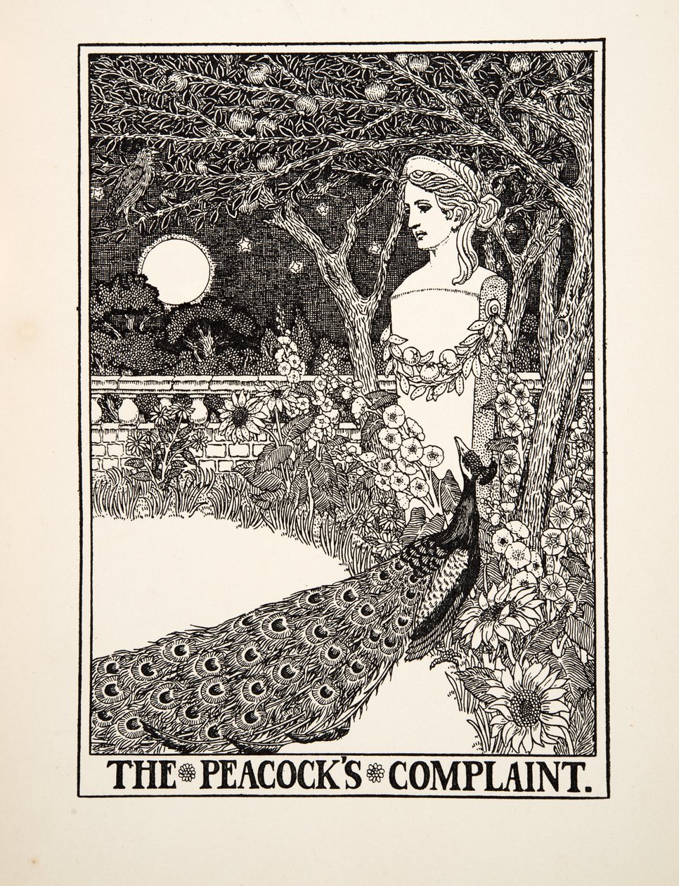 ピーコックの不満、イソップの百寓話、pub.1903 作： パーシー・J・ビリングスハースト